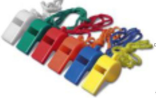 Assorted Colour Lifeguard Whistle
